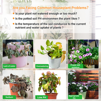 Detector de suelo completo de 6 en 1: su herramienta definitiva para jardinería y cuidado de plantas