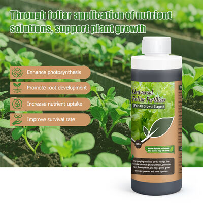 250 ml de fertilizante foliar universal de alta precisión para el aumento del crecimiento de las plantas y pruebas universales