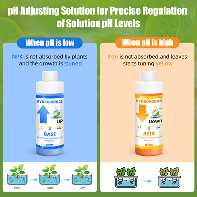 Kit de ajuste de pH hidropónico con capacidad de 250 ml para una absorción óptima de nutrientes de las plantas y una fórmula estable