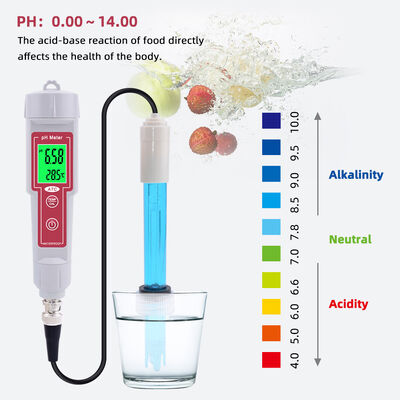 Professional Mini Pen-Type Water Quality Meter PH Meter with Waterproof IP65 Automatic Calibration and Replaceable Sensor Probe