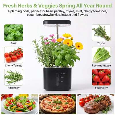 Cultivador hidropónico mini de 4 agujeros sin tierra para verduras de interior