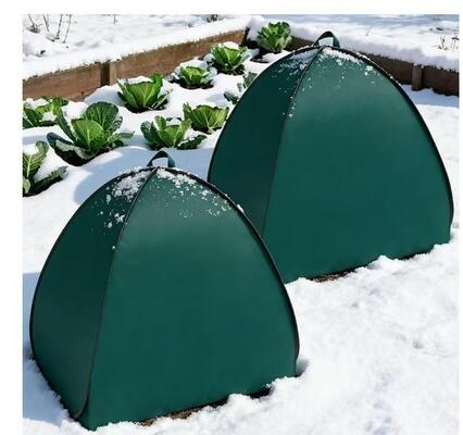 Tienda plegable de protección de plantas de invierno Antifrojo Resistente a la nieve del viento para jardín Vegetales Flores de frutas